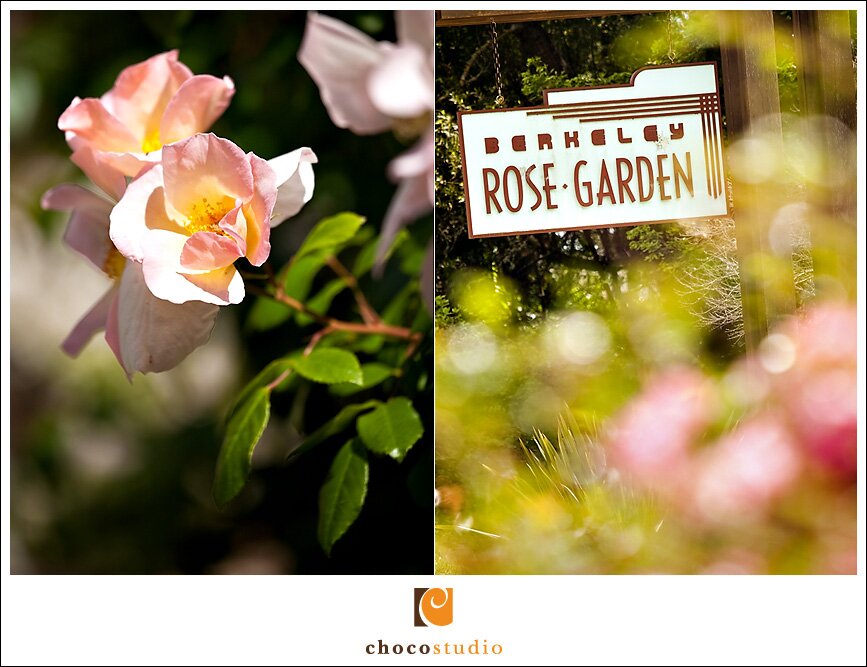 Berkeley Rose Garden Wedding Photos