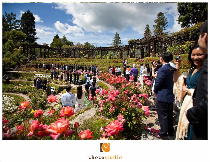 Berkeley Rose Garden Ceremony on Wedding Day