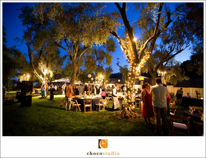 Olive Grove Reception at Twilight