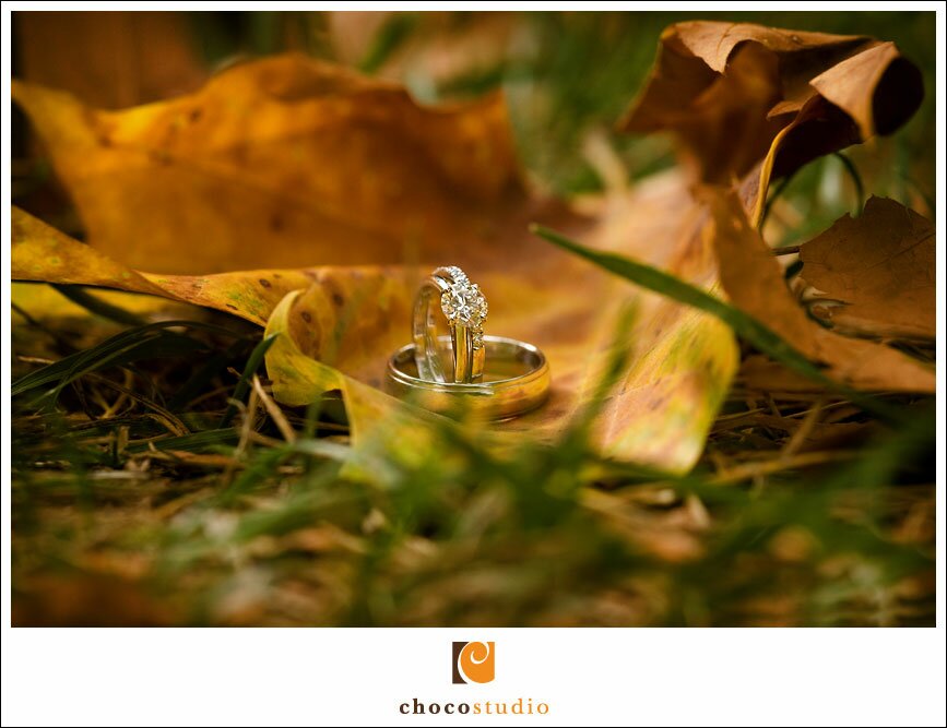 Rings photographed in a leaf on Berkeley Campus